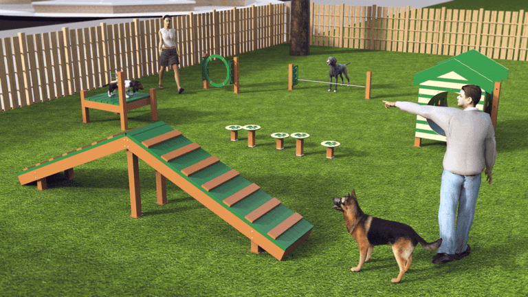 dog agility course