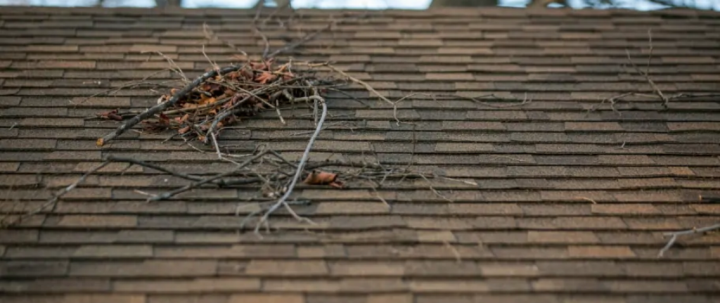 Signs Your Roof Needs Repair or Replacement